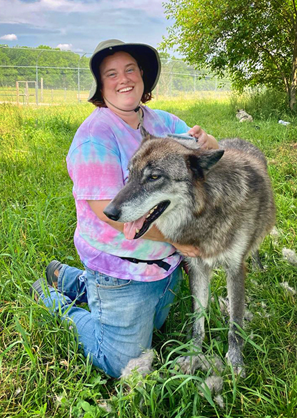 karen grooming a wolf